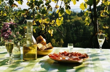 Wine Touring Picnic