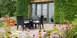 Vineyard Patio with Ivy